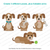 Dog Builder Die Set ©2026 Newton's Nook Designs