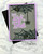 Spiderwebs Die Set ©2026 Newton's Nook Designs