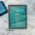 Spiderwebs Die Set ©2026 Newton's Nook Designs