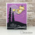 Newton's Boo-tiful Night Stamp Set ©2016 Newton's Nook Designs