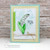Little Lilies Stamp Set ©2018 Newton's Nook Designs
