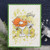 Newton Celebrates Stamp Set ©2018 Newton's Nook Designs
