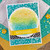 Gnome Garden  Stamp Set ©2021 Newton's Nook Designs
