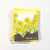 Daffodils Stamp Set ©2021 Newton's Nook Designs