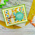 Birthday Party Paper Pack ©2022 Newton's Nook Designs