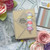 Newton's Birthday Delights Stamp Set ©2023 Newton's Nook Designs