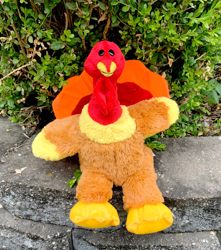 Wholesale Unstuffed Turkey