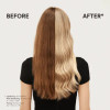 Wella BlondorPlex Blonde Lightening Powder 800g X 6