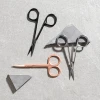 Caronlab Grip® Precision Scissors Stainless Steel