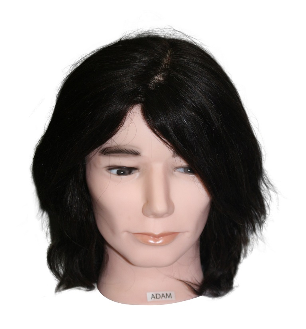 Adam Male No Beard Mannequin Belleza