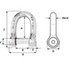 Wichard Self-Locking Allen Head Pin D Shackle - 6mm Diameter - 1\/4" [1303W]