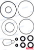 Recambios Marinos Gear Case Seal Rec25700-93L00