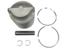 Brp Us Inc Pstn&Ring Kit .030 5006669