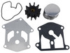 Brp Us Inc Kit Ay_Water Pump 987745