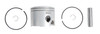 Brp Us Inc Pstn&Ring Kit_Std 5007037