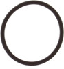 Brp Us Inc Seal-Fuel Filter 124369