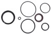 Brp Us Inc O-Ring & Seal Kit- 2 Required 174520
