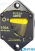 Recambios Marinos Thermal Circuit Breaker 100A. Bs7044