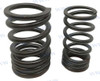 Recambios Marinos Spring Valve Rm24-801879