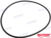 Recambios Marinos O-Ring Rec313175