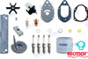 Recambios Marinos Mercury Service Kit Reckitmer50