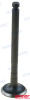 Recambios Marinos Exhaust Valve Rec129100-11112