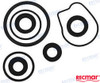 Recambios Marinos Lower Unit Seal Kit Rec18-8362-1