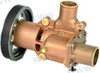 Recambios Marinos Sea Water Pump Rec21380890