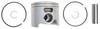Brp Us Inc Pstn&Rng Kit_.020" 5007051
