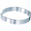 T.H. Marine 210 Stplss Ear Hse Clmp-10Pk 16700024X-Dp