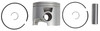 Brp Us Inc Piston & Ring Kit 5006731
