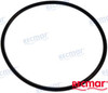 Recambios Marinos Washer Rec338518