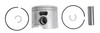 Brp Us Inc Piston&Ring Ay-Std 5008544