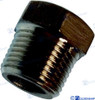 Recambios Marinos Hex Head Plug  Aisi 316   2" Gs30586