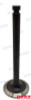 Recambios Marinos Intake Valve Rec129100-11100
