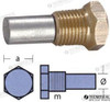 Recambios Marinos Anode Bukh W/Tap Ten02053T