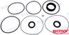 Recambios Marinos Seal Kit Lower Unit Xdp Rec23025