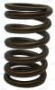 Recambios Marinos Muelle  5.7V 96 > Rm24-483471