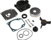 Brp Us Inc Water Pump Kit W/Housing 438592