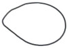 Dometic O-Ring (Pk Of 2) 118-7481-9
