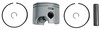Brp Us Inc Pstn&Ring Kit_.030 5006679