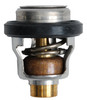 Brp Us Inc Thermostat 5031762