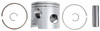 Brp Us Inc Pstn&Ring Kit_Port 5006671