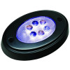 T.H. Marine Ovl Ctrsy Lght W/Mnting Ring Ocl-1K-Dp