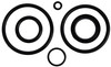 Brp Us Inc O-Ring Pkg 390007