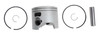 Brp Us Inc Piston&Ring Ay-Std 5008423