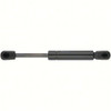 Attwood Marine Ss 8Mm Ext17.2" Cmp 10.2" St36-30-5
