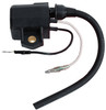 Brp Us Inc Coil_Ignition 5032035