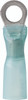 Marinco/Ancor Marine 16-14 Heat Shrink Ring Term. 311603