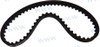 Recambios Marinos Timing Belt Paf8-05000004
